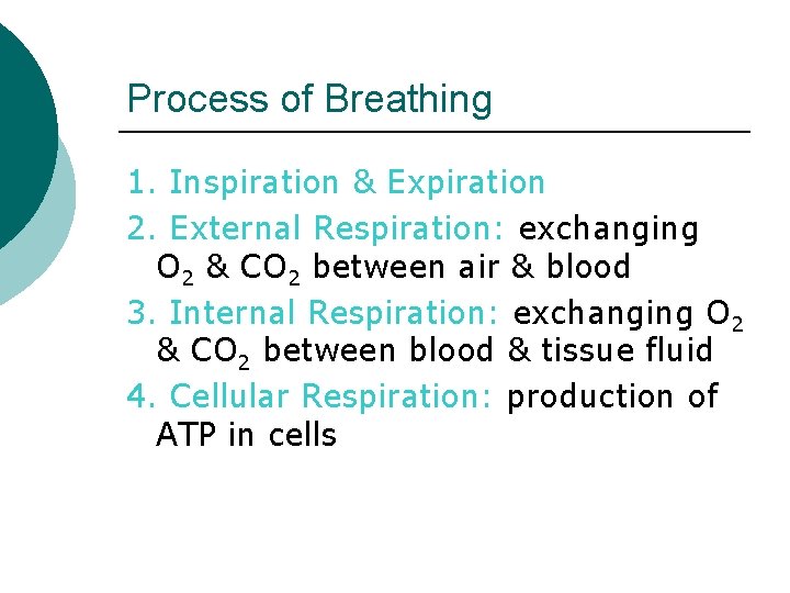 Process of Breathing 1. Inspiration & Expiration 2. External Respiration: exchanging O 2 &