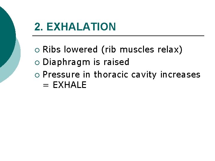 2. EXHALATION Ribs lowered (rib muscles relax) ¡ Diaphragm is raised ¡ Pressure in