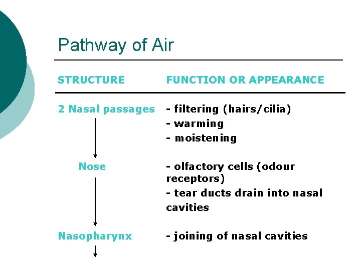 Pathway of Air STRUCTURE FUNCTION OR APPEARANCE 2 Nasal passages - filtering (hairs/cilia) -