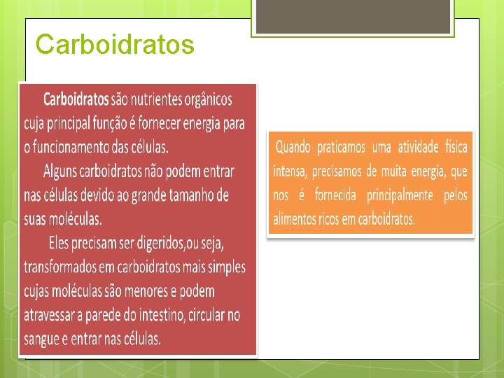 Carboidratos 