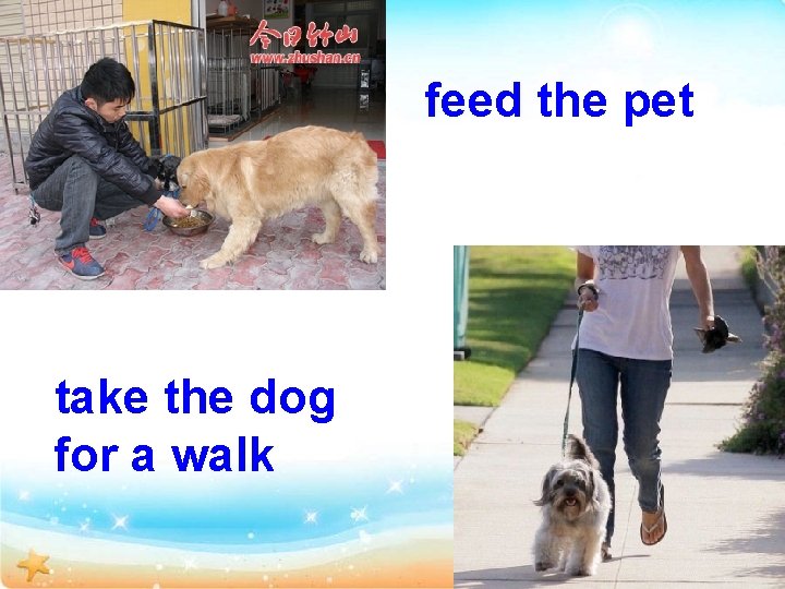 feed the pet take the dog for a walk 