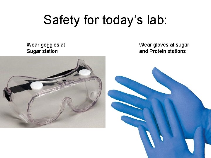 Safety for today’s lab: Wear goggles at Sugar station Wear gloves at sugar and