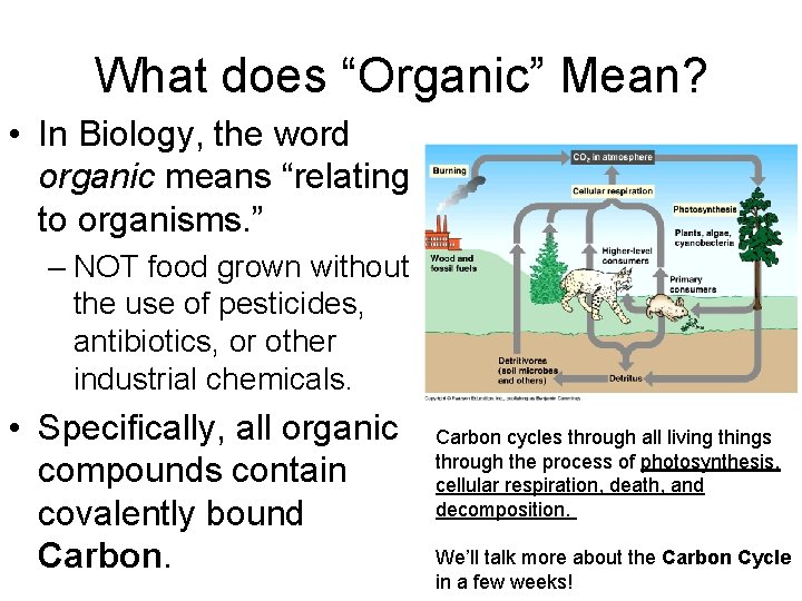 What does “Organic” Mean? • In Biology, the word organic means “relating to organisms.
