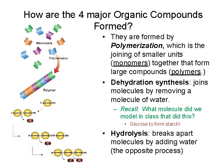 How are the 4 major Organic Compounds Formed? • They are formed by Polymerization,
