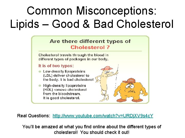 Common Misconceptions: Lipids – Good & Bad Cholesterol Real Questions: http: //www. youtube. com/watch?