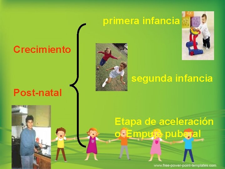 primera infancia Crecimiento segunda infancia Post-natal Etapa de aceleración o Empuje puberal 