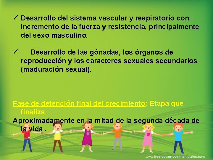 ü Desarrollo del sistema vascular y respiratorio con incremento de la fuerza y resistencia,