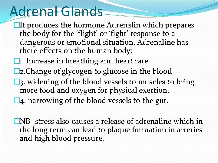 Adrenal Glands �It produces the hormone Adrenalin which prepares the body for the ‘flight’