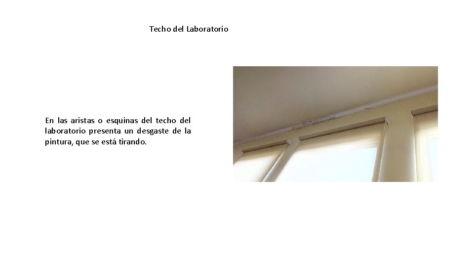 Techo del Laboratorio En las aristas o esquinas del techo del laboratorio presenta un