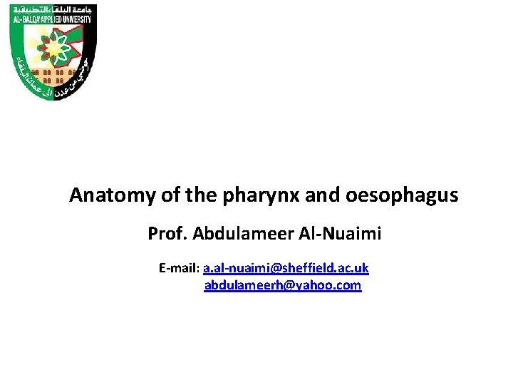 Anatomy of the pharynx and oesophagus Prof. Abdulameer Al-Nuaimi E-mail: a. al-nuaimi@sheffield. ac. uk