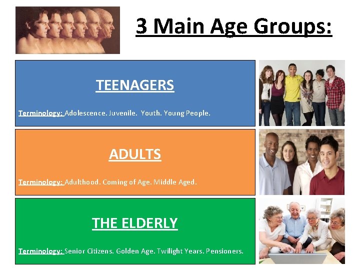 3 Main Age Groups: TEENAGERS Terminology: Adolescence. Juvenile. Youth. Young People. ADULTS Terminology: Adulthood.