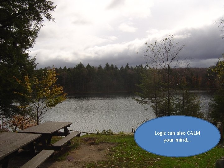 Logic can also CALM your mind… 