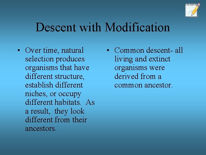 Descent with Modification • Over time, natural selection produces organisms that have different structure,