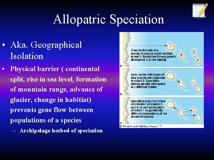 Allopatric Speciation • Aka. Geographical Isolation • Physical barrier ( continental split, rise in