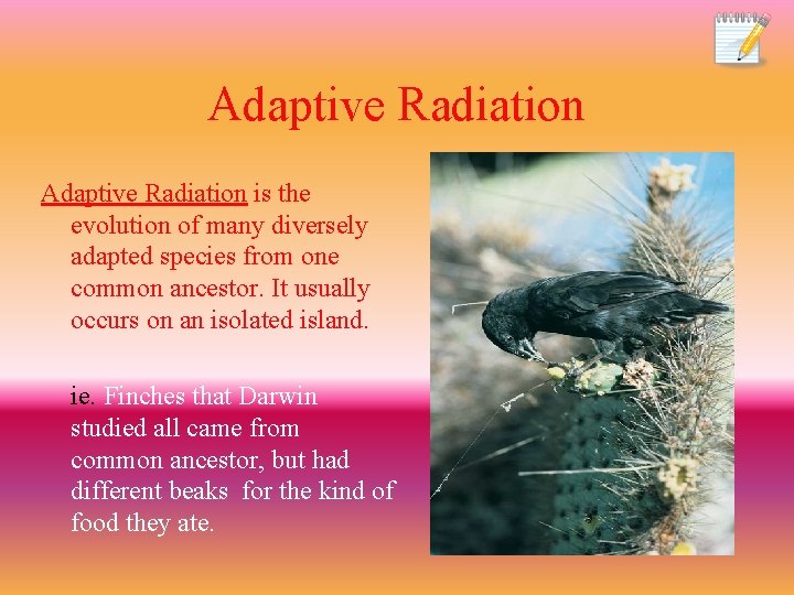 Adaptive Radiation is the evolution of many diversely adapted species from one common ancestor.