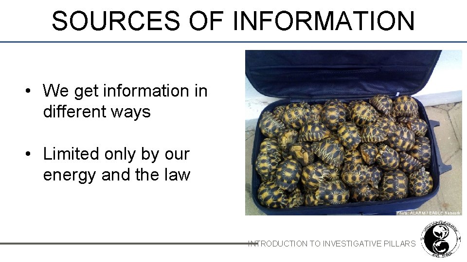 SOURCES OF INFORMATION • We get information in different ways • Limited only by