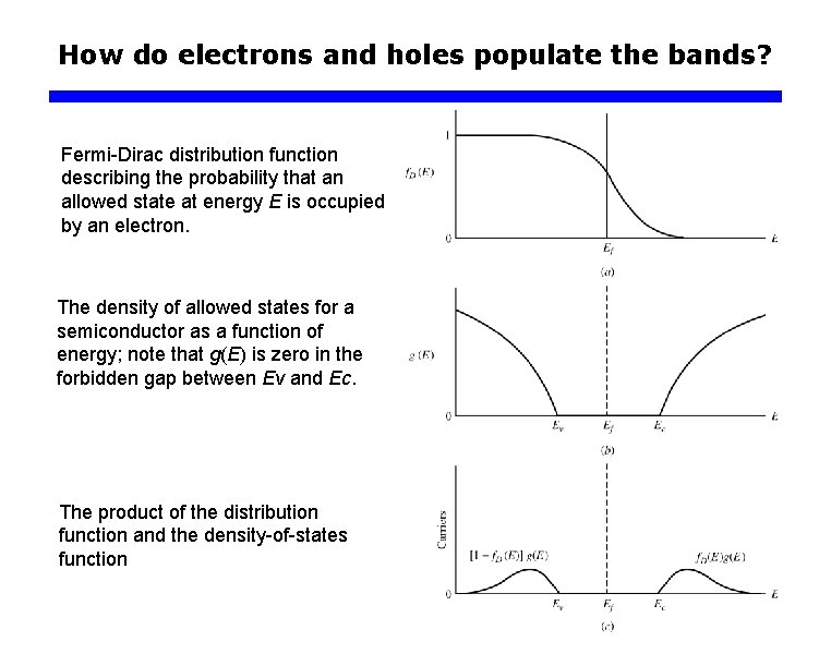 How do electrons and holes populate the bands? Fermi-Dirac distribution function describing the probability