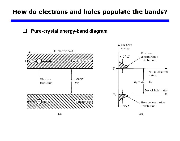 How do electrons and holes populate the bands? q Pure-crystal energy-band diagram 