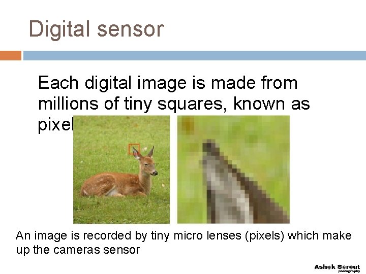 Digital sensor Each digital image is made from millions of tiny squares, known as