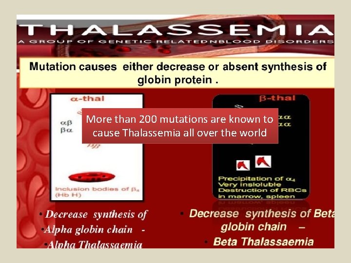 More than 200 mutations are known to cause Thalassemia all over the world 