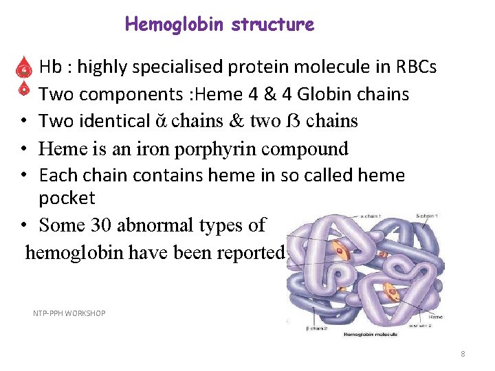 Hemoglobin structure Hb : highly specialised protein molecule in RBCs Two components : Heme