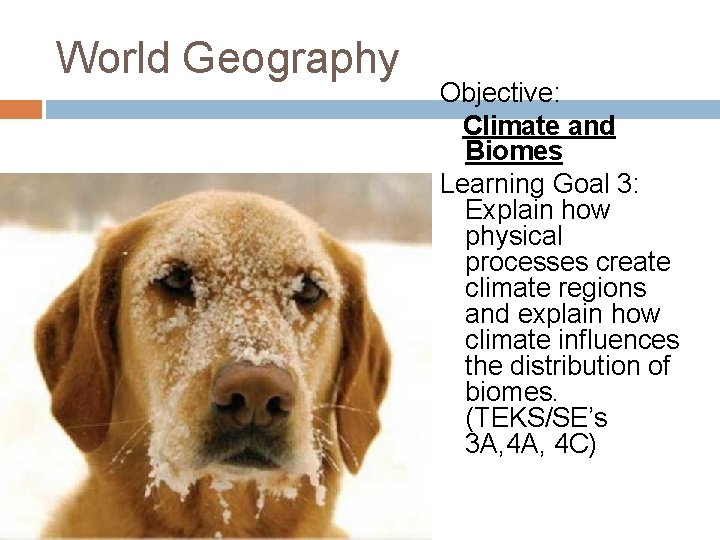 World Geography Objective: Climate and Biomes Learning Goal 3: Explain how physical processes create