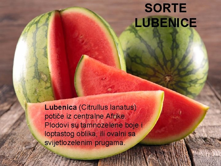 SORTE LUBENICE Lubenica (Citrullus lanatus) potiče iz centralne Afrike. Plodovi su tamnozelene boje i