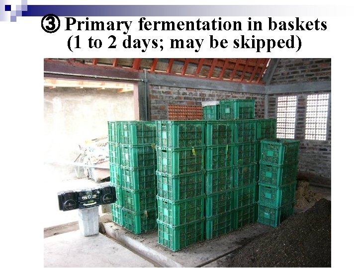 ③ Primary fermentation in baskets (1 to 2 days; may be skipped) 