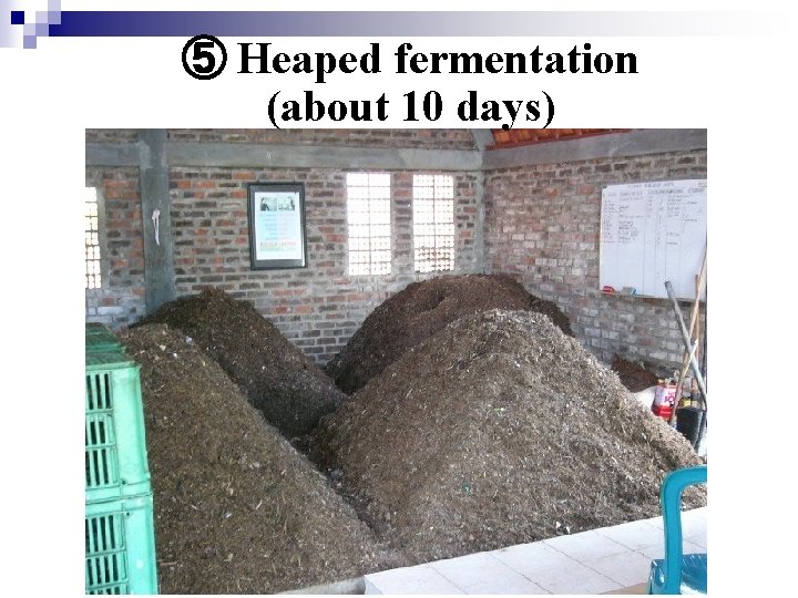 ⑤ Heaped fermentation (about 10 days) 