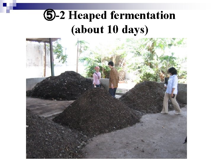 ⑤-2 Heaped fermentation (about 10 days) 