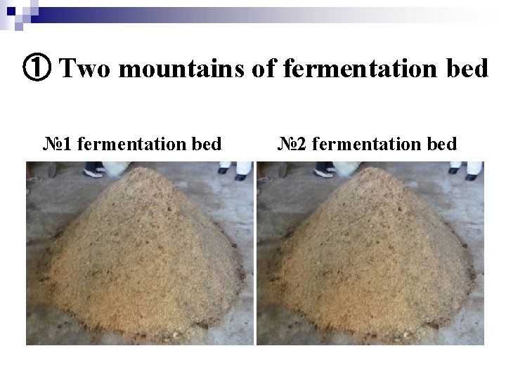 ① Two mountains of fermentation bed № 1 fermentation bed № 2 fermentation bed