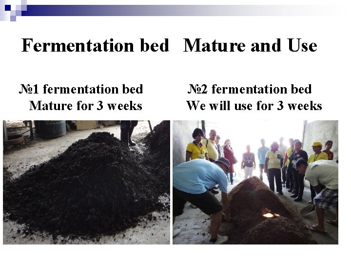 Fermentation bed Mature and Use № 1 fermentation bed Mature for 3 weeks №