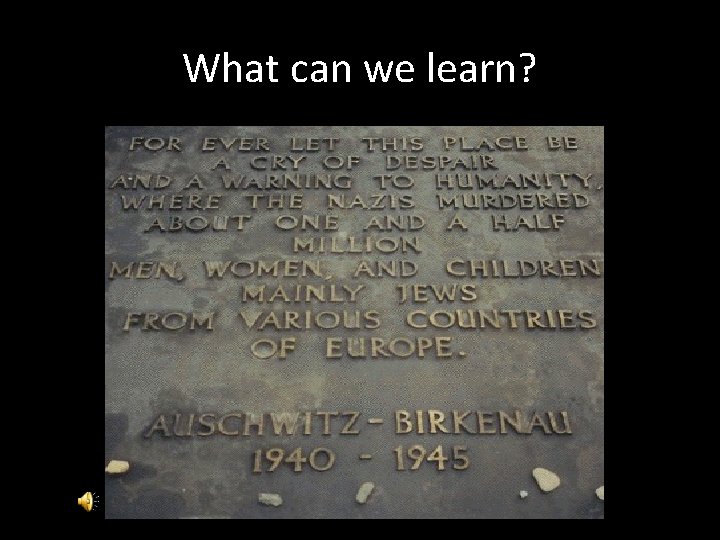 What can we learn? 