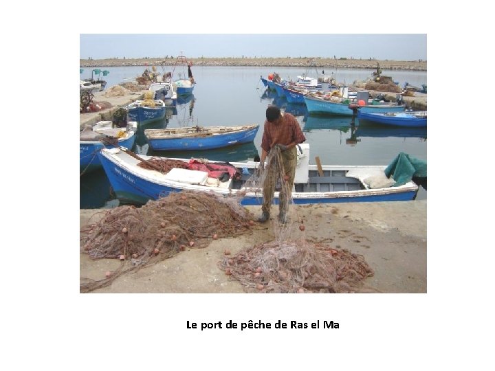 Le port de pêche de Ras el Ma 