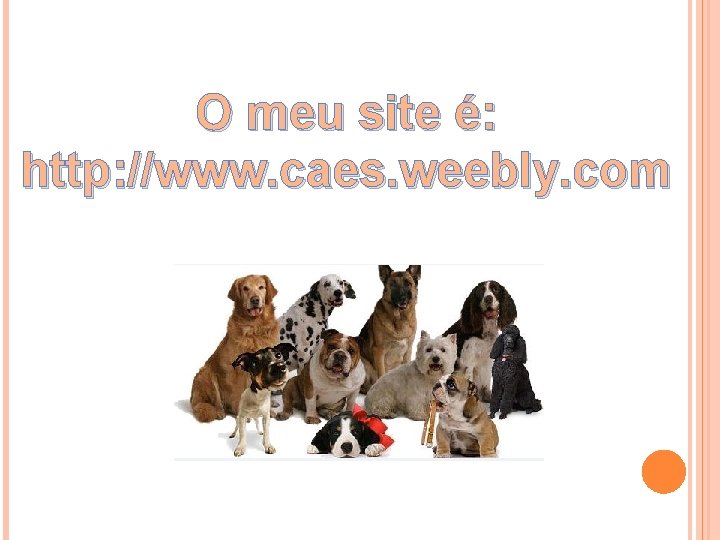 O meu site é: http: //www. caes. weebly. com 