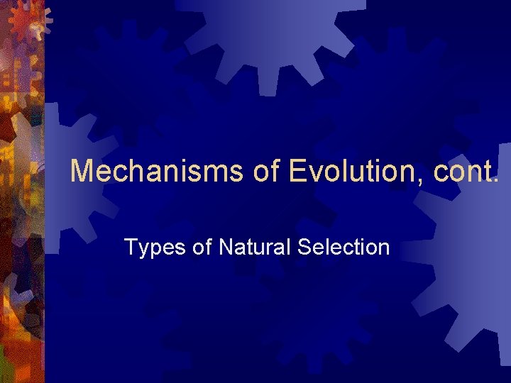 Mechanisms of Evolution, cont. Types of Natural Selection 