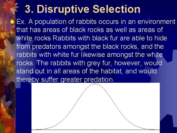 3. Disruptive Selection ® Ex. A population of rabbits occurs in an environment that