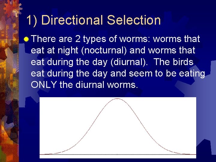 1) Directional Selection ® There are 2 types of worms: worms that eat at