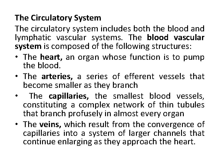 The Circulatory System The circulatory system includes both the blood and lymphatic vascular systems.