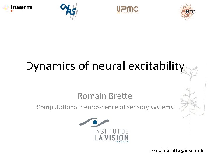 Dynamics of neural excitability Romain Brette Computational neuroscience of sensory systems romain. brette@inserm. fr