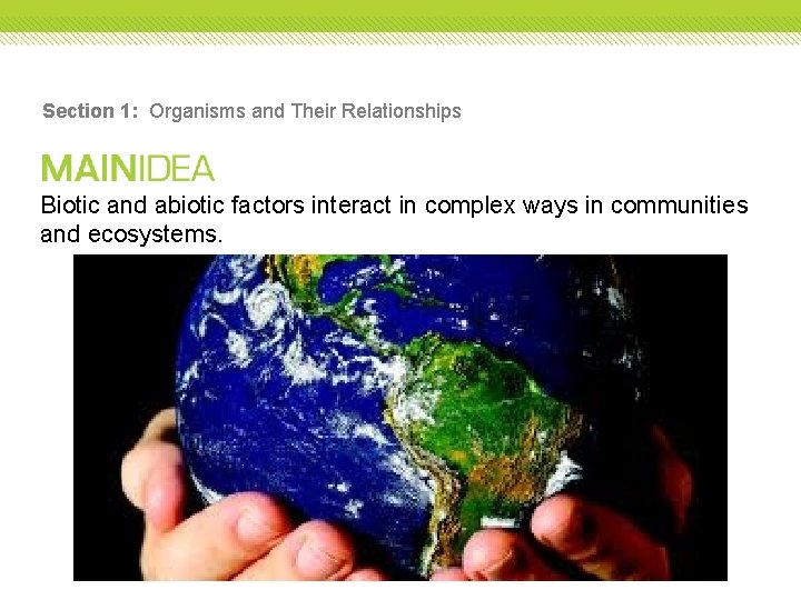 Section 1: Organisms and Their Relationships Biotic and abiotic factors interact in complex ways