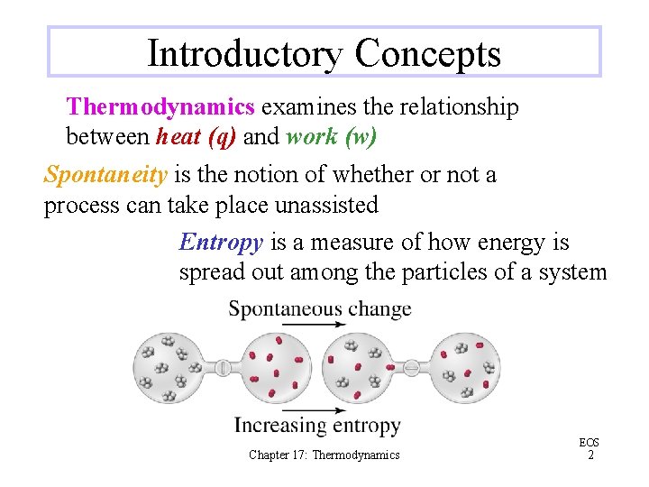 Introductory Concepts Thermodynamics examines the relationship between heat (q) and work (w) Spontaneity is