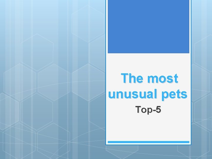 The most unusual pets Top-5 