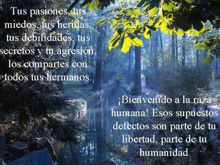 Tus pasiones, tus miedos, tus heridas, tus debilidades, tus secretos y tu agresión, los