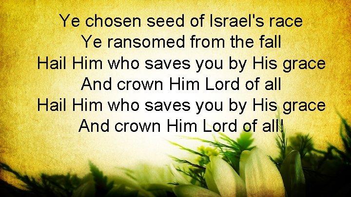 Ye chosen seed of Israel's race Ye ransomed from the fall Hail Him who