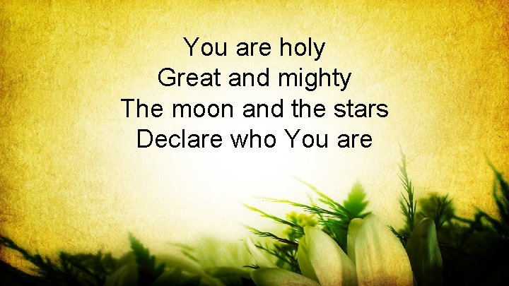 You are holy Great and mighty The moon and the stars Declare who You