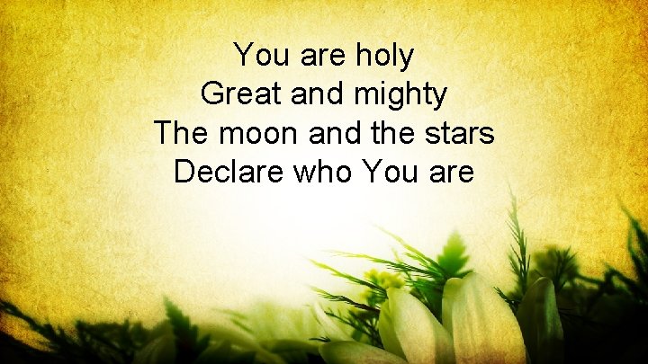 You are holy Great and mighty The moon and the stars Declare who You