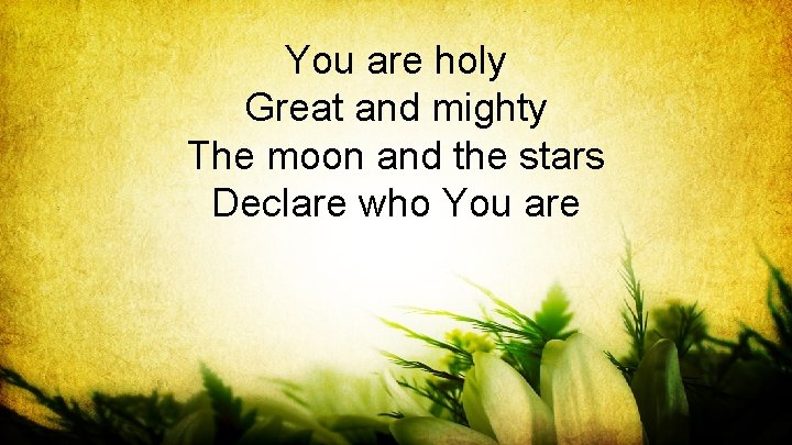 You are holy Great and mighty The moon and the stars Declare who You