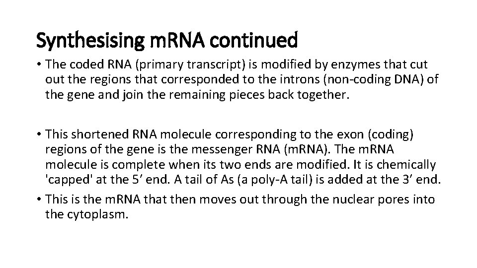 Synthesising m. RNA continued • The coded RNA (primary transcript) is modified by enzymes