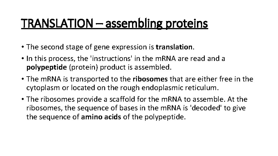 TRANSLATION – assembling proteins • The second stage of gene expression is translation. •